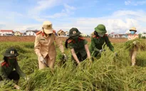 Các địa phương miền Trung lên phương án sơ tán người dân tránh bão