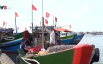 Thừa Thiên Huế khẩn trương kêu gọi tàu thuyền tránh trú bão số 5