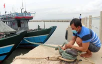 Chủ động phương án sơ tán, di dời các hộ dân vùng có nguy cơ bị ảnh hưởng bởi bão số 5