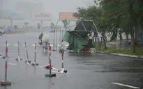 Bão số 8 di chuyển nhanh, hướng vào Thanh Hóa - Quảng Bình