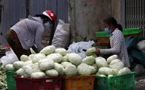 Thủ tướng: Hỗ trợ kết nối đầu ra cho nông sản ở địa phương giãn cách xã hội