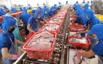 Doanh nghiệp thủy sản “đuối sức” trước đại dịch