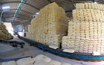 Xuất cấp gạo và hàng dự trữ quốc gia cho 3 tỉnh phòng, chống dịch COVID-19