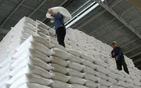 Mua thêm gạo dự trữ quốc gia hỗ trợ người dân gặp khó khăn do COVID-19