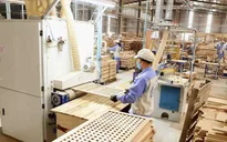 Xuất khẩu gỗ giảm mạnh