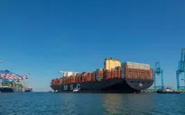 Ngành vận tải biển lãi “đậm” nhất trong 13 năm