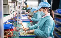 TP Hồ Chí Minh sẽ xây dựng bộ tiêu chí để khôi phục sản xuất