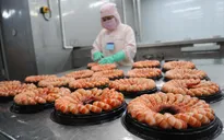 Tăng tốc xuất khẩu tôm sang EU