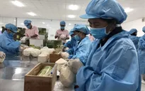 Thúc đẩy xuất khẩu nông sản những tháng cuối năm