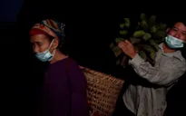 Tấm lòng người miền ngược gửi cả nước chống dịch