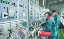 Chủ động phục hồi kinh tế theo lộ trình, có kiểm soát