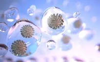 Giọt bắn chứa virus SARS-CoV-2 lơ lửng trong không khí lan xa hơn trong môi trường ẩm ướt