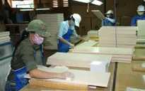 Đề xuất hạn chế đầu tư nước ngoài mặt hàng gỗ dán, tủ bếp