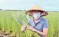 Phóng viên Minh Tây 3 tháng "kẹt" ở Huế cùng Việt Nam thức giấc