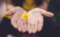 Cách thực hành chánh niệm giúp giảm stress hàng ngày