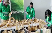 Colombia tịch thu lô hàng 3.500 vây cá mập