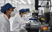 Hỗ trợ người lao động và sử dụng lao động bị ảnh hưởng COVID-19