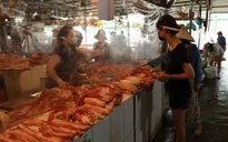 Giá lợn hơi giảm sâu, người chăn nuôi lỗ nặng