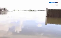 Nhiều nhà dân ở Nghệ An bị ngập do mưa lũ