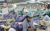 Rục rịch trở lại sau giãn cách, lo cơ chế "đánh đố" doanh nghiệp