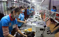 Gần 13 triệu lao động được hỗ trợ từ Quỹ bảo hiểm thất nghiệp