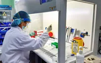 Bộ Y tế trả lời về việc cấp mã số cho người có kết quả test nhanh kháng nguyên dương tính