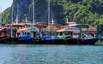Hải Phòng cho phép hoạt động thể thao ngoài trời, mở cửa cơ sở tôn giáo, du lịch nội tỉnh