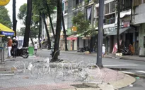 TP Hồ Chí Minh đã gỡ bỏ tất cả các chốt kiểm soát nội thành