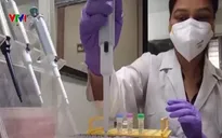 Xét nghiệm nước thải có thể báo trước thời điểm bùng dịch COVID-19 một tháng