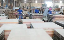 Cơ sở sản xuất, kinh doanh tại huyện “vùng xanh” Hà Nội hoạt động trở lại