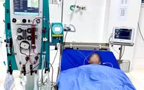 Sơn La: Người đàn ông suy gan, suy thận do ngộ độc sâu ban miêu