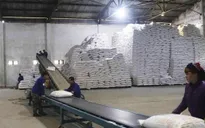 Đấu giá hạn ngạch thuế quan nhập khẩu 108.000 tấn đường