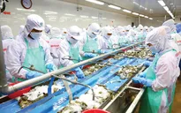 30 - 40% doanh nghiệp thủy sản phía Nam hoạt động được "3 tại chỗ"