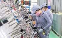 Giải pháp nào giúp doanh nghiệp “vượt bão” COVID-19?