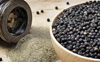 Hạt tiêu Việt Nam ghi dấu trên "bản đồ gia vị" thế giới