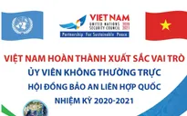 Việt Nam hoàn thành xuất sắc vai trò Ủy viên không thường trực HĐBA Liên Hợp Quốc