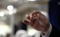 Elon Musk hé lộ thời điểm thử nghiệm chip cấy não người