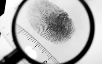 Phát hiện mới về cơ chế hình thành dấu vân tay của con người