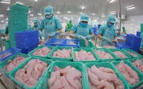 Dư địa lớn cho xuất khẩu thủy sản Việt Nam trong năm 2022