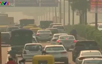 Bụi mịn ảnh hưởng đến 2,5 tỷ cư dân thành thị trên thế giới