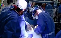 Thực hiện thành công ca cấy ghép tim lợn cho người