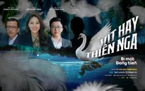 Bí mật đồng tiền số 4: "Vịt hay thiên nga?"