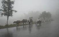 Vùng núi Bắc Bộ có nơi rét đậm, nhiệt độ giảm xuống dưới 10 độ C