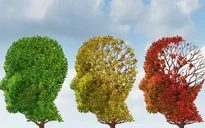 Gia tăng số người trưởng thành mắc chứng sa sút trí tuệ