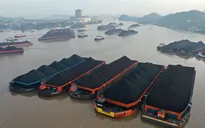 Indonesia có thể nối lại xuất khẩu than