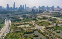 Cổ phiếu bất động sản “la liệt nằm sàn” sau vụ Tân Hoàng Minh bỏ cọc đấu giá ở Thủ Thiêm