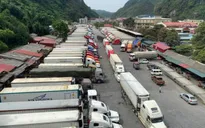 Lạng Sơn tạm thời dừng tiếp nhận xe chở hoa quả tươi đến cửa khẩu