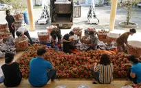 Thị trường châu Âu - thị trường tiềm năng của thanh long Việt
