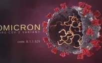Làn sóng Omicron có thể đạt đỉnh nhanh