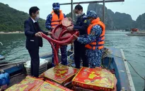 Bắt giữ vụ vận chuyển 300kg pháo nổ trên biển